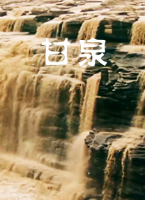 夫人惊人的容颜